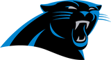 Panthers heated gear
